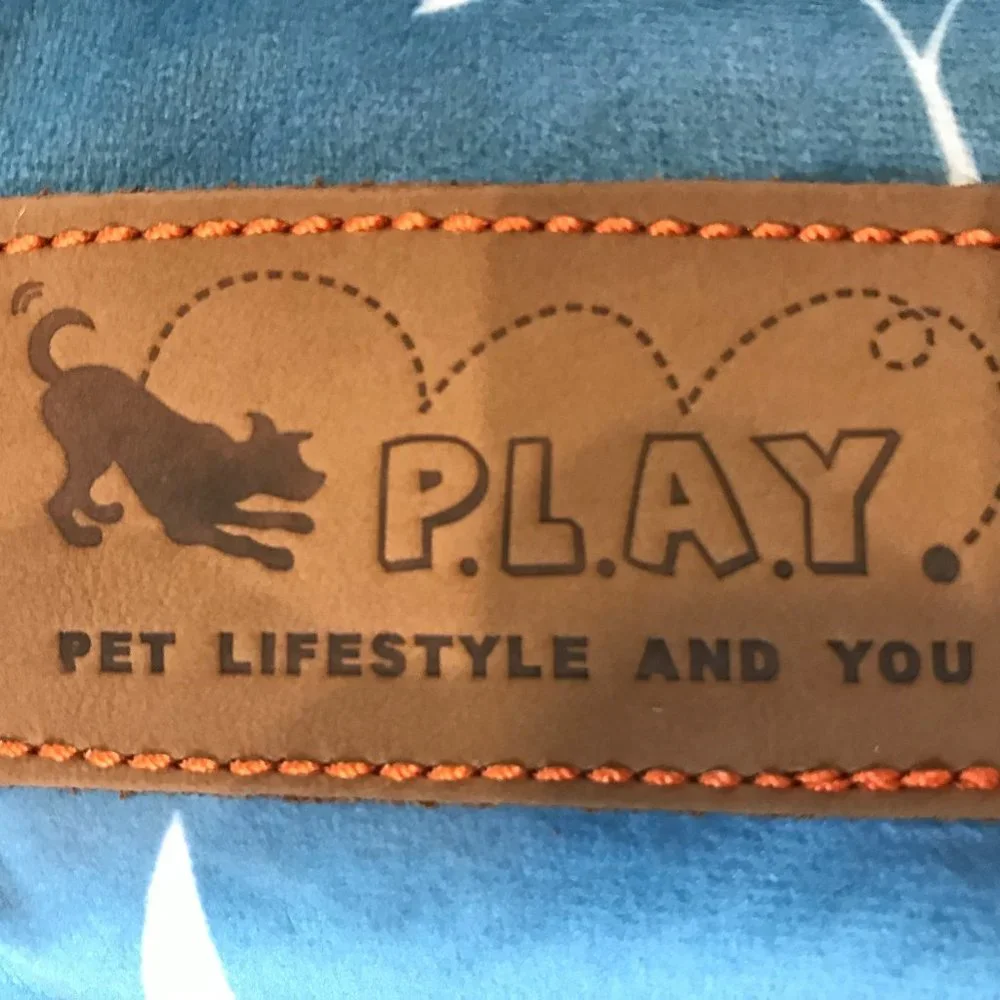 Pet Play Dog Bed (small) and New Toy
